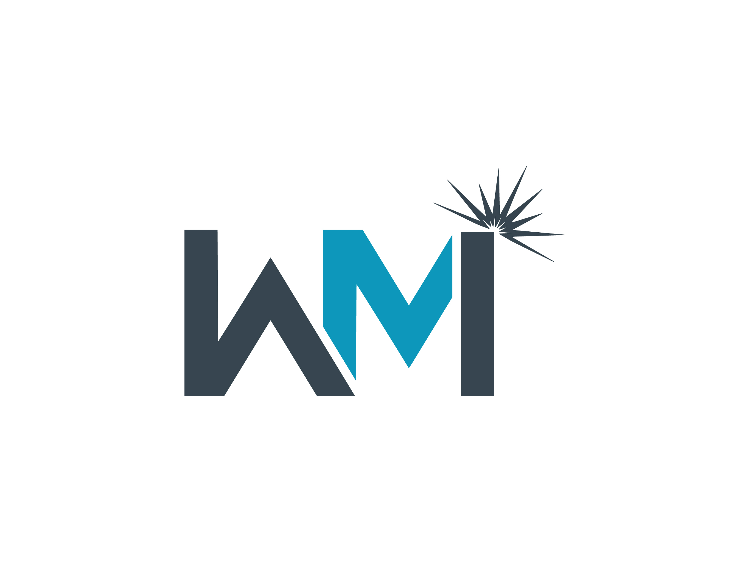 Woolley's Mill Inspection Ltd.